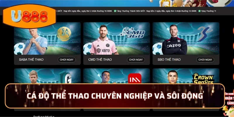 Sân chơi cá độ thể thao chuyên nghiệp và sôi động