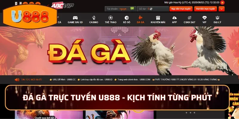 Đá gà trực tuyến U888 - Kịch tính từng phút, mãn nhãn từng trận