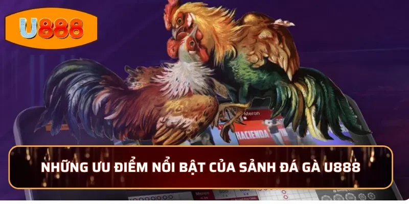 Những ưu điểm nổi bật của sảnh đá gà U888