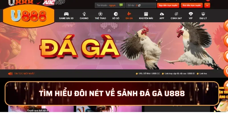 Tìm hiểu đôi nét về sảnh đá gà U888