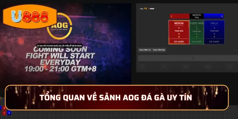 Tổng quan về sảnh AOG đá gà uy tín trên thị trường