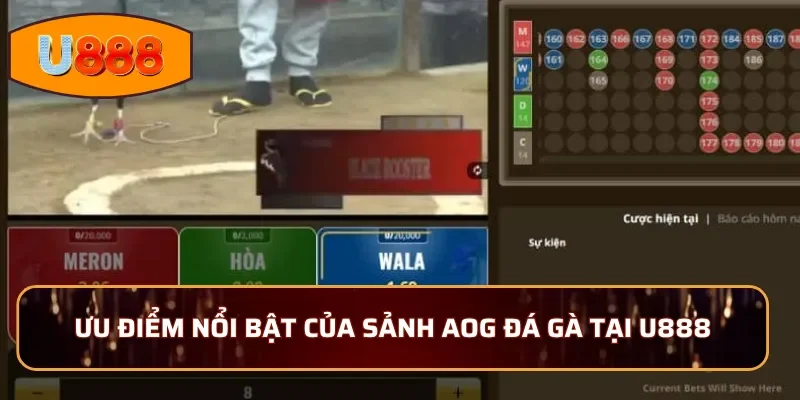 Ưu điểm nổi bật của sảnh AOG đá gà tại U888